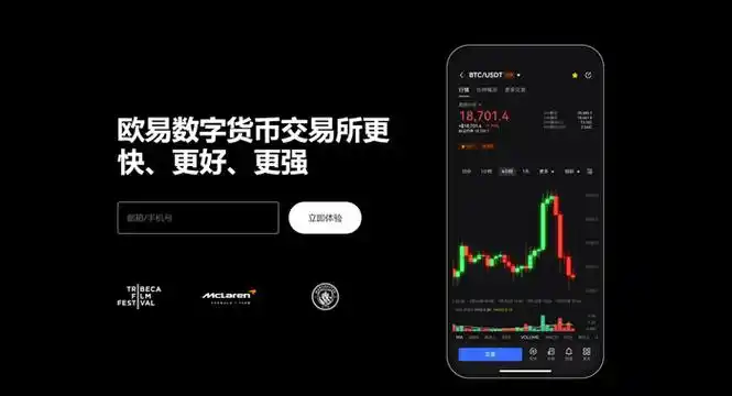 欧e平台系统展示图